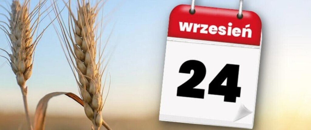 izbrol23.jpeg